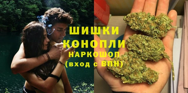 дурь Белокуриха
