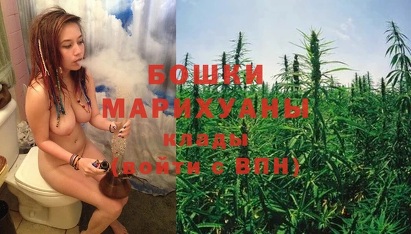 дурь Белокуриха