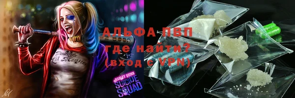 стаф Россошь